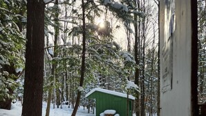 Ein verschneiter Wald mit einer grünen Holzhütte und einer Holzbank.