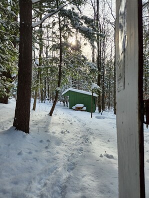 A snow-covered forest with a green cabin and a wooden bench. - Writer's Den: Rustic Retreat Camping Cabin (Freeville)