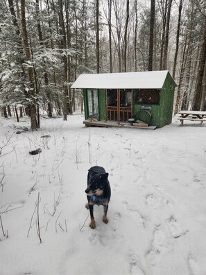 A cabin in a snowy forest with a dog in the foreground. - Writer's Den: Rustic Retreat Camping Cabin (Freeville)