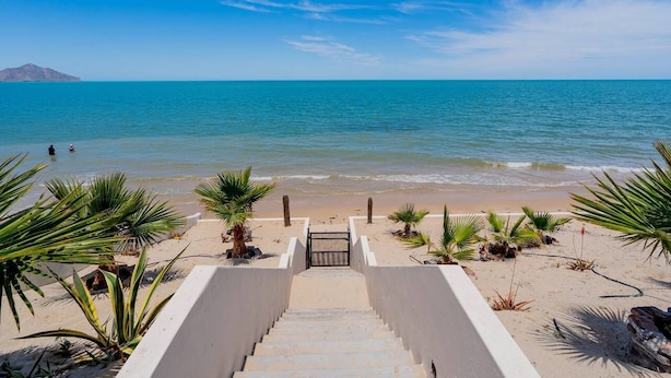 Una playa con una escalera que baja al agua, palmeras y cielo despejado.