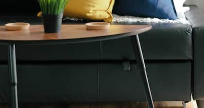 1BR Comfort Getaway | Downtown + Pets