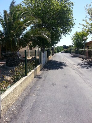 Stroll through a serene, tree-lined street surrounded by a lush garden and a tranquil building.