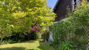 Un jardin avec une variété de plantes et d’arbres, une pelouse et un bâtiment en arrière-plan.