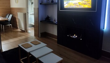 Salon, cheminée bioéthanol