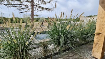 Terras