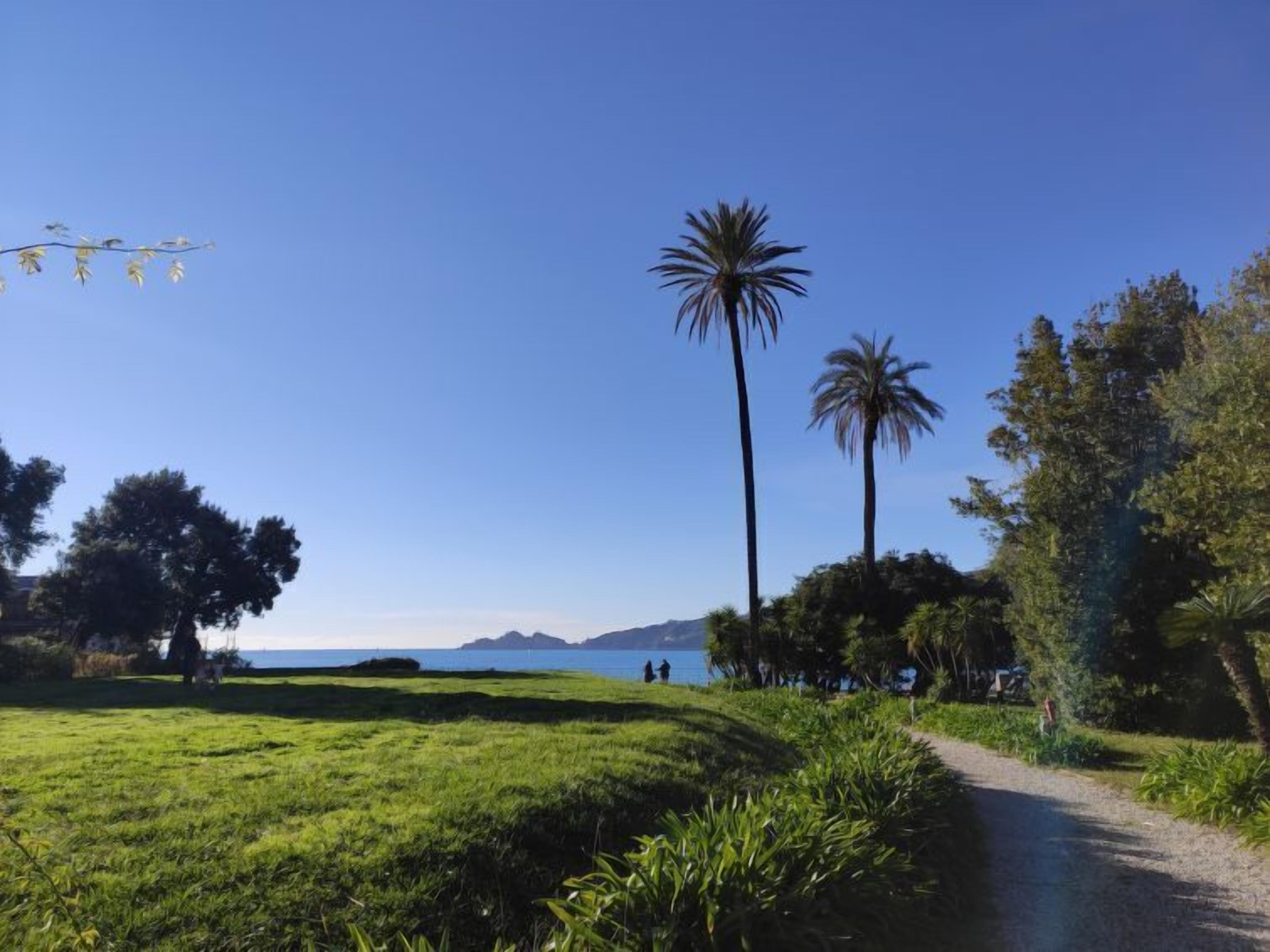 Un sentiero che conduce a una zona panoramica con palme e vista sull'oceano.