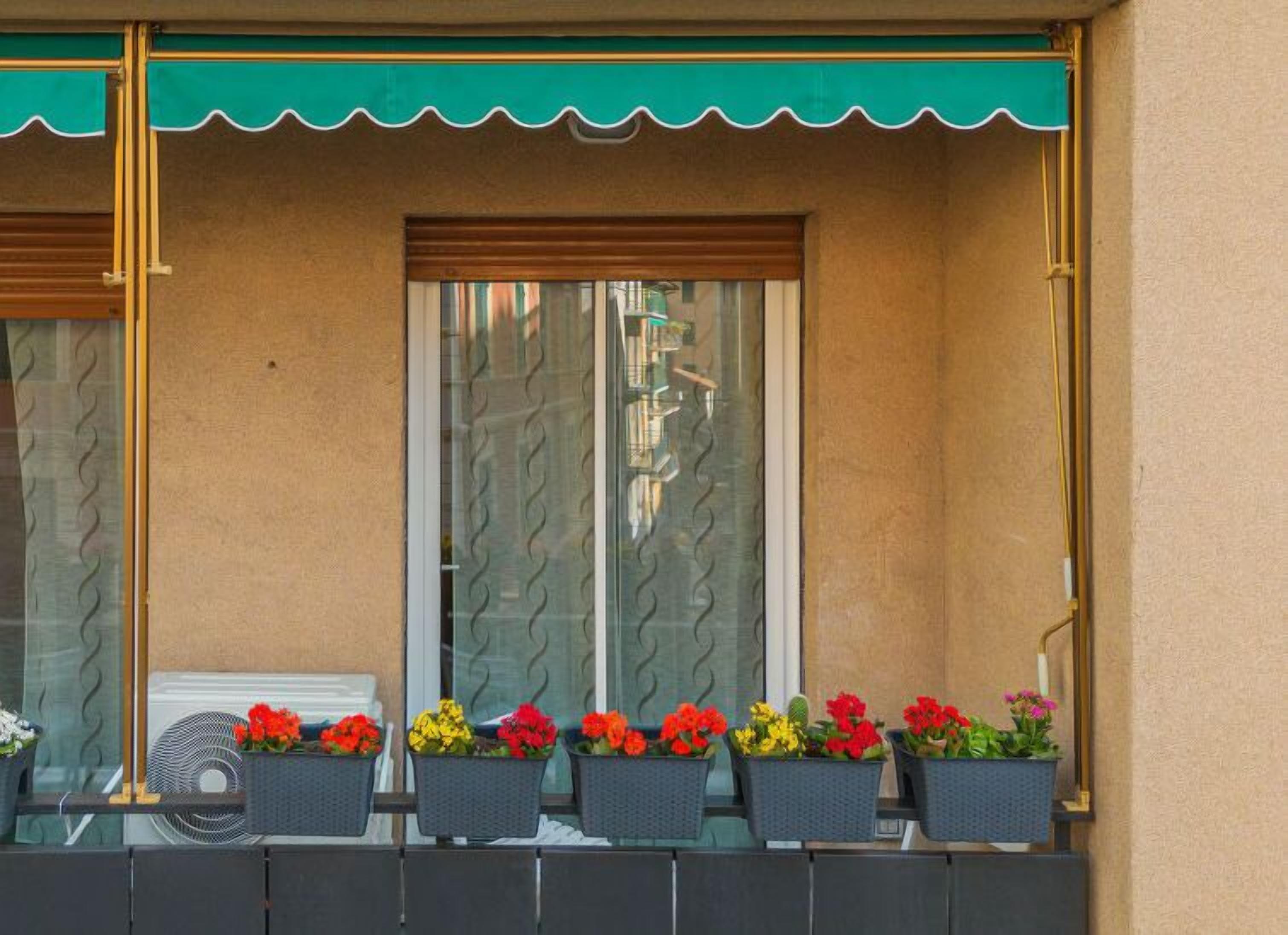 Façana d'edifici amb una tenda verda, una finestra amb un dibuix ondulat i diversos testos de flors a la cornisa.