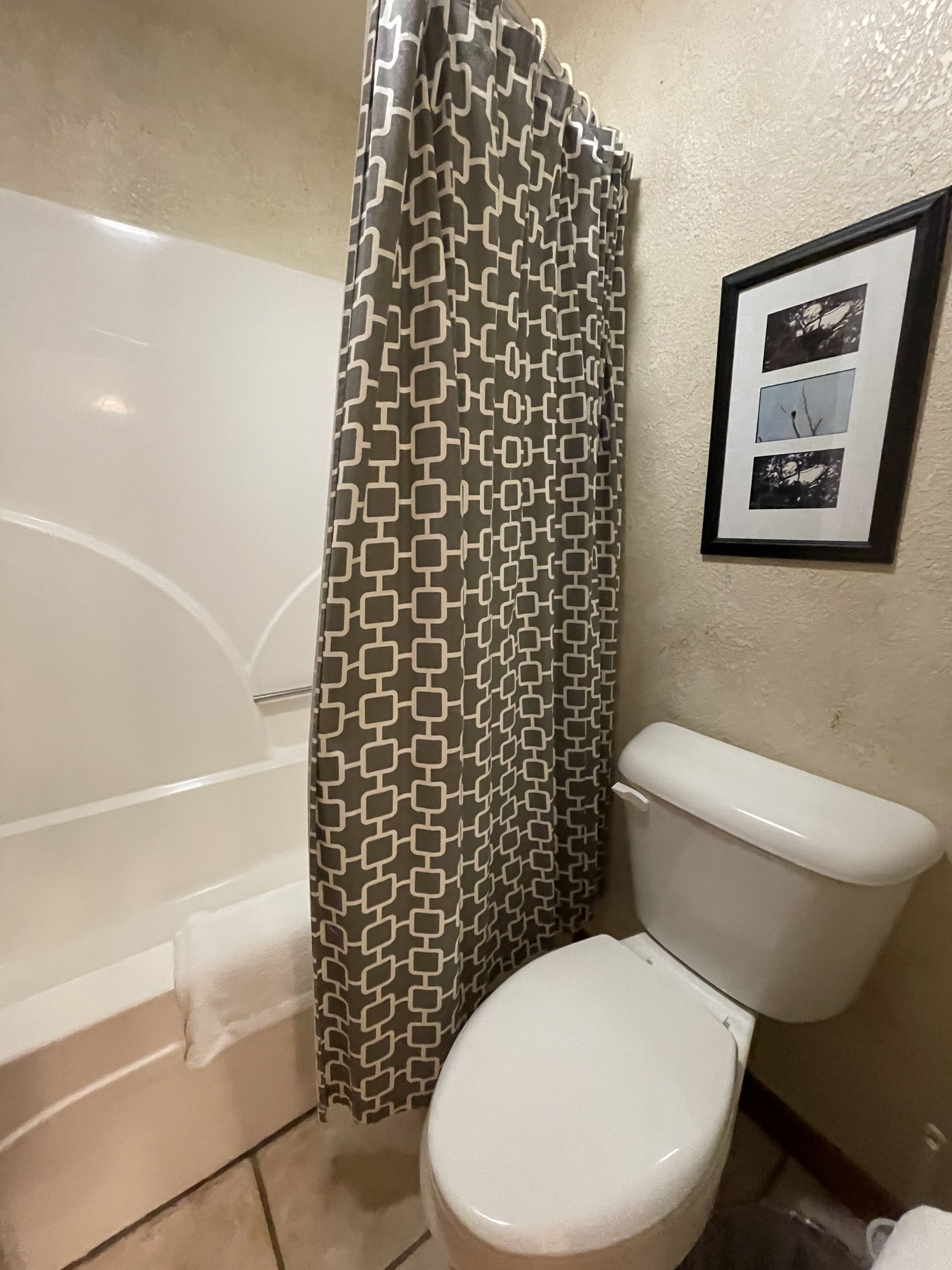 Un baño con cortina de ducha estampada, un inodoro blanco y un cuadro en la pared.