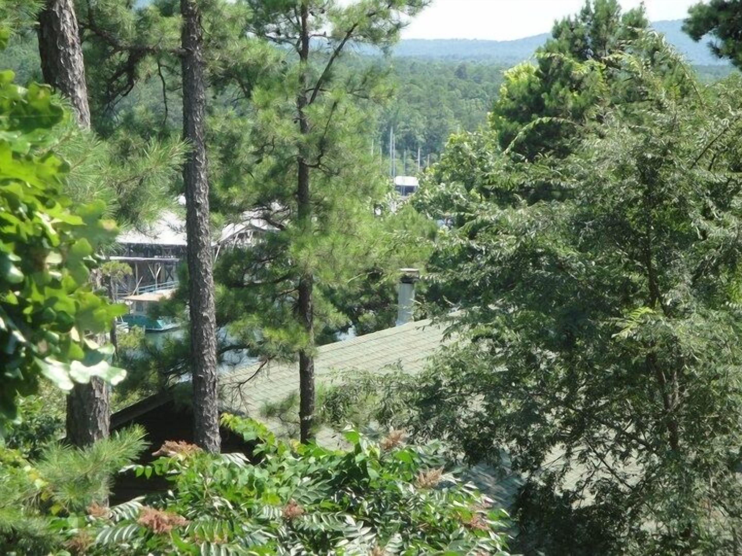 A forested area with a building that has a sloped roof and a visible chimney.