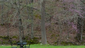 A picnic table with chairs in a grassy area surrounded by trees. - Queen Guest Room located at the Joplin Inn at the entrance to Mountain Harbor, , just 2 1/2 miles from Lake Ouachita. by RedAwning (Mount Ida)