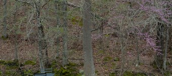 Queen Guest Room located at the Joplin Inn at the entrance to Mountain Harbor, , just 2 1/2 miles from Lake Ouachita. by RedAwning