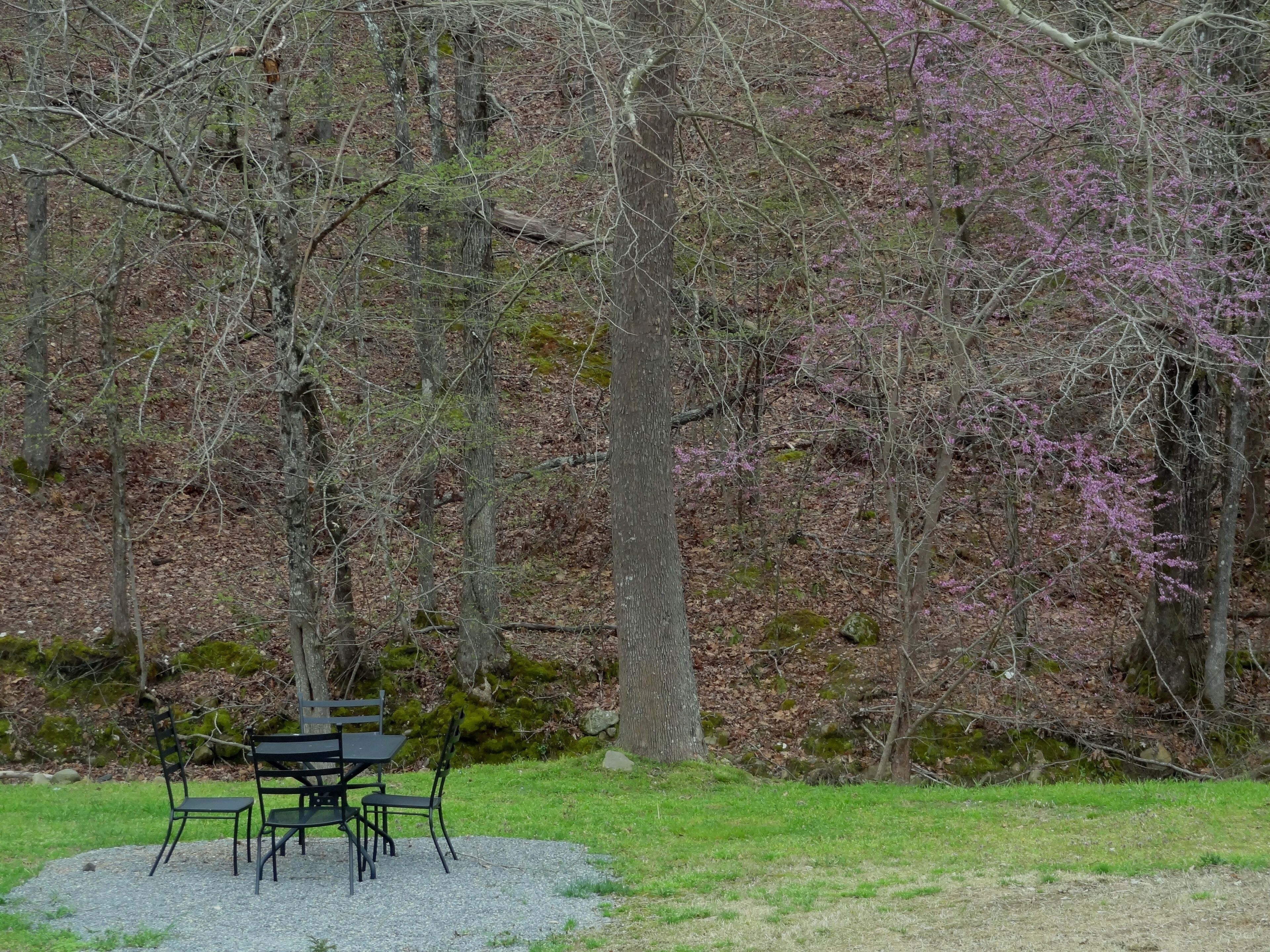 A picnic table with chairs in a grassy area surrounded by trees.