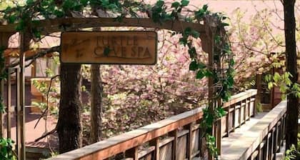 JI8, Queen Guest Room at the Joplin Inn at entrance to the resort, , just 2 1/2 miles from Lake Ouachita. by RedAwning