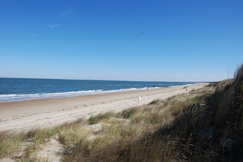 Mermaids & Mutts 3 Bedroom Bungalow by RedAwning