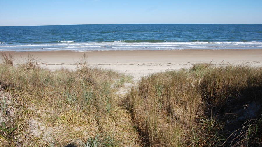 Mermaids & Mutts 3 Bedroom Bungalow by RedAwning