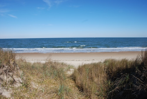 Mermaids & Mutts 3 Bedroom Bungalow by RedAwning