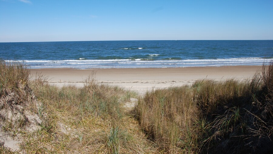 Mermaids & Mutts 3 Bedroom Bungalow by RedAwning