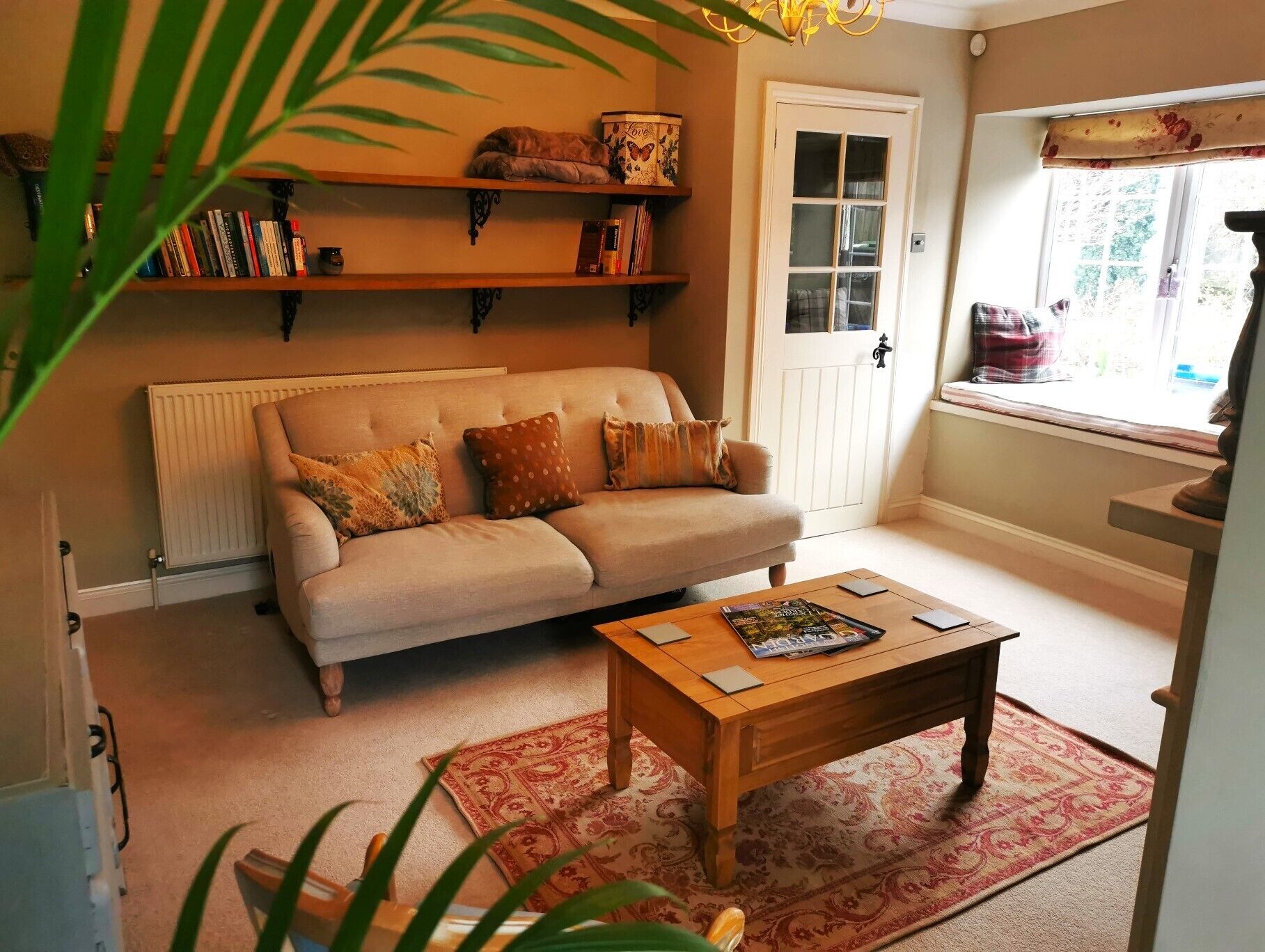 Smart TV, fireplace, books