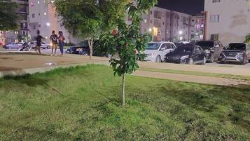 A nighttime view of a parking lot with several cars and a small tree in the foreground.