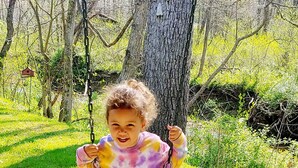 Un enfant sur une balançoire, dans un espace verdoyant avec des arbres.