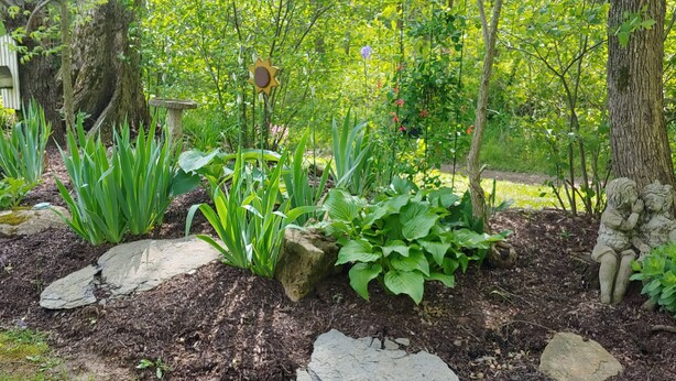 Un jardin agrémenté de diverses plantes, de rochers et d’une nichoir.