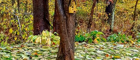 Terrain de lâhĂ©bergement