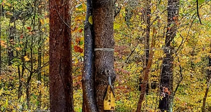 Beautiful private country setting, 4 miles to Little Patoka Boat Ramp.