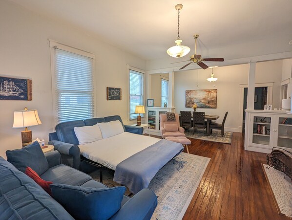 Smart TV, fireplace, DVD player, books