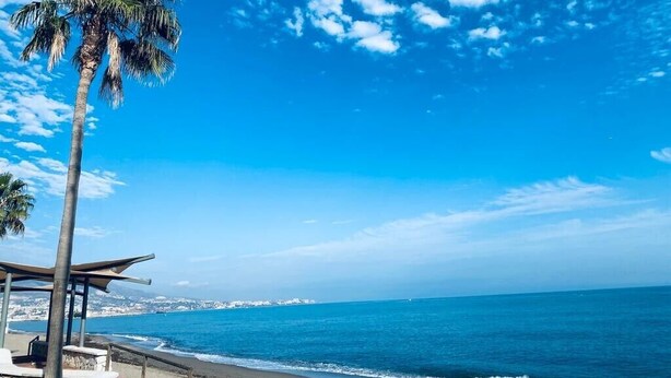 A beach with a palm tree, a wooden structure, and a clear blue sky.