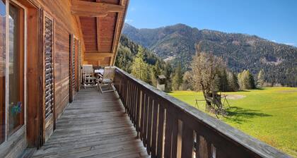 Holiday Apartment "Pischlhof Apt Lärche" with Mountain View, Balcony & Shared Garden