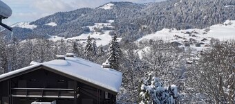 Megeve. Very nice little studio in residence ideal for winter and summer.