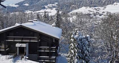 Megeve. Very nice little studio in residence ideal for winter and summer.