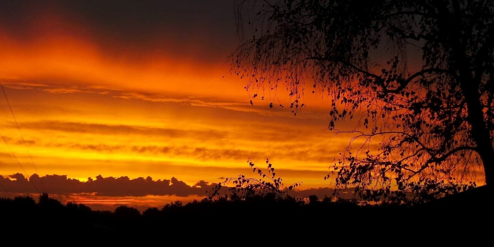 A sunset with a silhouette of a tree and a distant landscape.