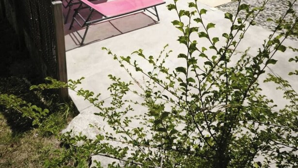 A swimming pool with lounge chairs and an umbrella, surrounded by a stone wall and greenery. - Gîte DE LA Source (Barret-sur-Méouge)