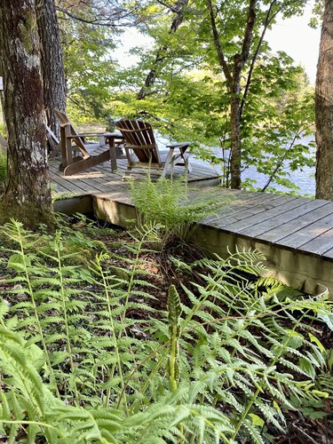 Idyllic cottages in the forest with access to the lake and sauna 