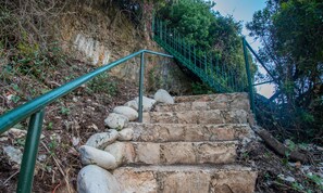 Property grounds - Casa Spiaggia (Zakynthos - Limni Keriou)