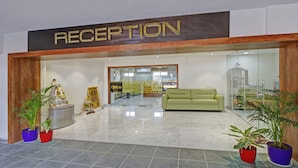 A reception area with a reception desk, a green sofa, and potted plants.