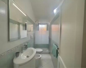 Shower, hair dryer, bidet, towels