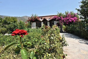 A house with a stone facade, a tiled roof, and a garden with various plants and a prominent red rose.