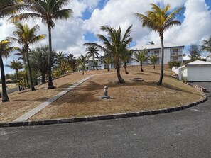 المنطقة المحيطة بالمنشأة