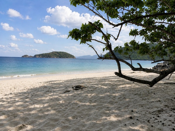 A beach with clear water, a sandy shore, and a tree branch overhanging. - Updated 1BR/1BA - "Hillside Getaway" (Lovenlund)