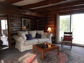 TV, fireplace, DVD player, books