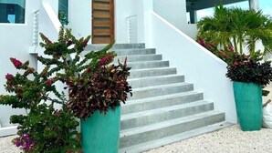 Un edificio moderno y blanco con una escalera que conduce a la entrada, rodeado de grandes macetas con plantas.