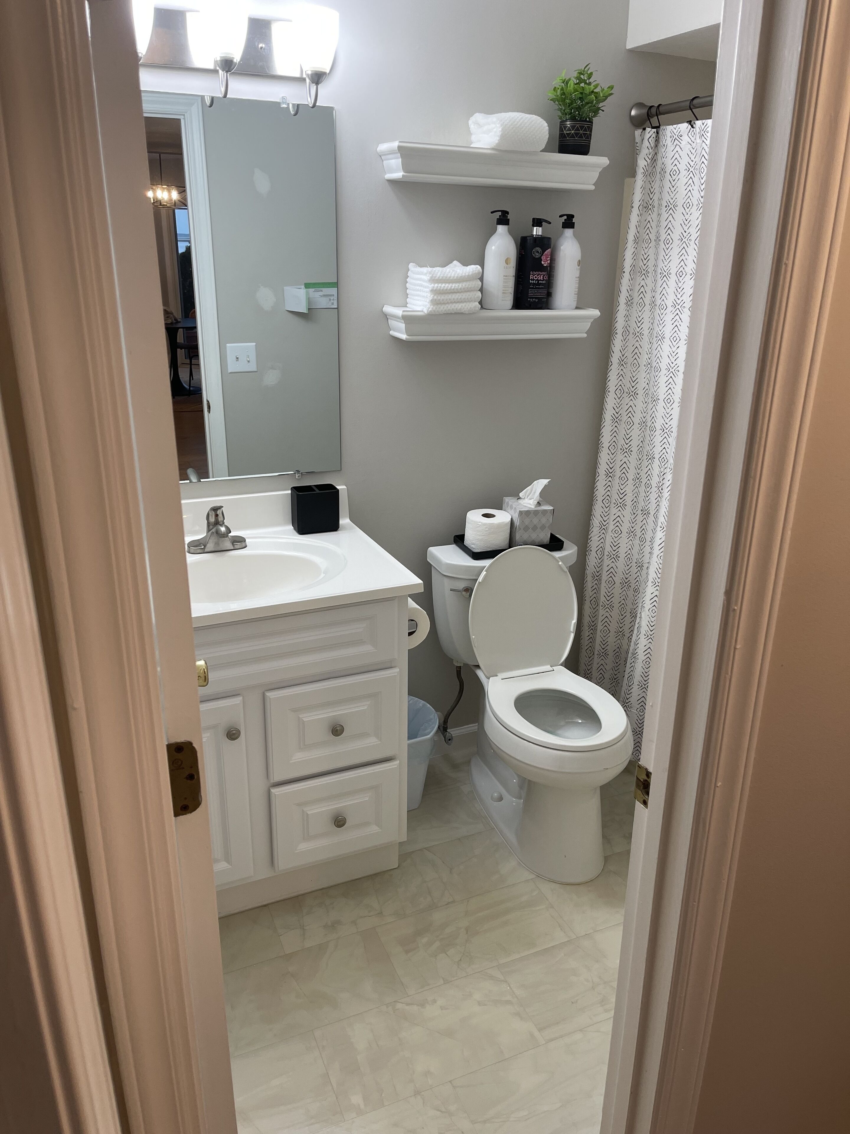 A bathroom with a toilet, sink, and mirror. There are shelves with toiletries and a potted plant.