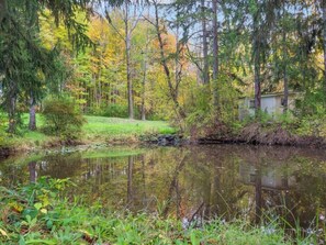 Property grounds - Willow Woods Retreat - Farmhouse - Patio & Nature (Kirtland)