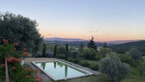 Ein rechteckiger Pool, umgeben von einem gepflegten Garten mit verschiedenen Sträuchern und Blumen.