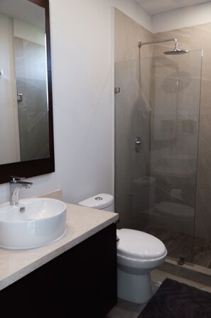 Shower, hair dryer, towels, shampoo