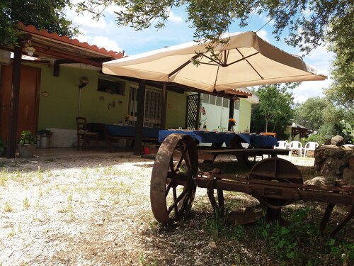 Lovely apartment in the middle of the green farm( 8)