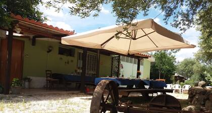 Lovely apartment in the middle of the green farm( 8)