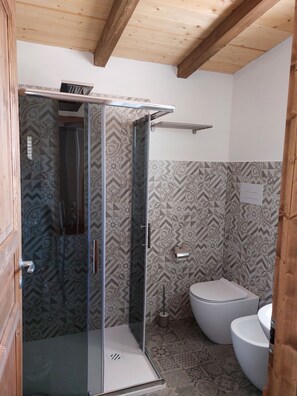 Shower, hair dryer, bidet, towels